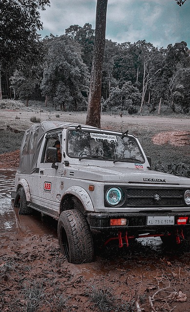 案例分析 案例分析