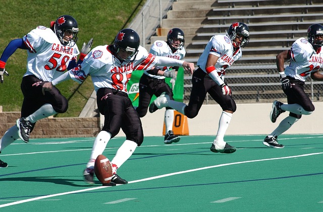 乒庞大的培 乒庞大的培