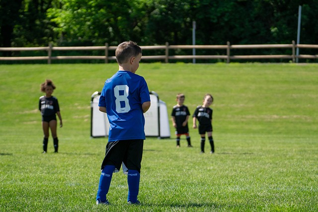 明加的发挥 明加的发挥