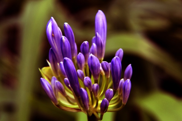 败实现绝地 败实现绝地