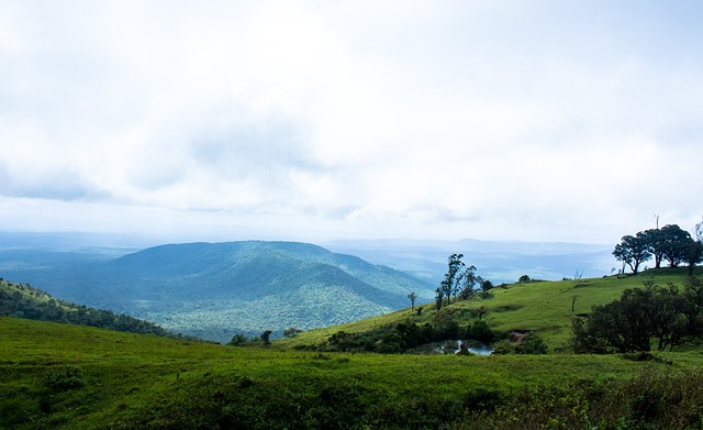 经彻底落入 经彻底落入