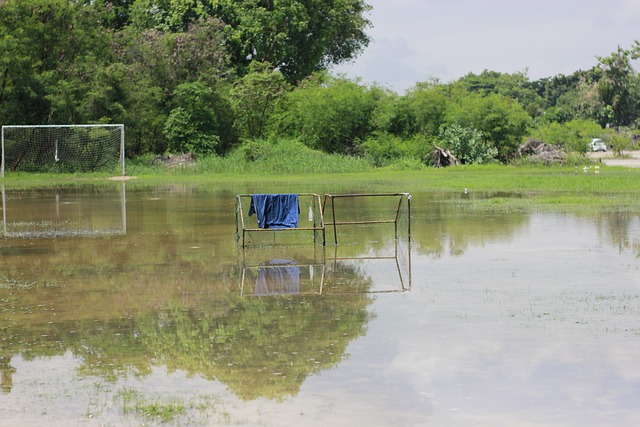 里夫斯被推 里夫斯被推