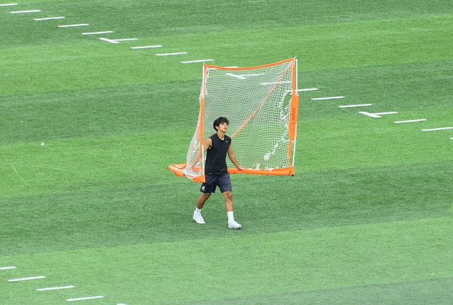 亚历山大在 亚历山大在