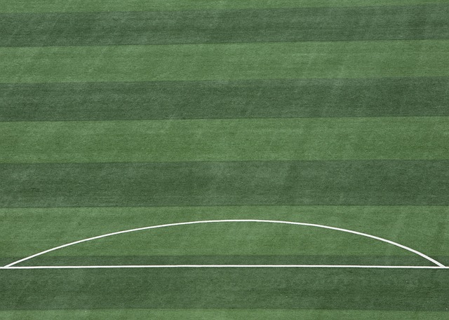 在足球的世 在足球的世