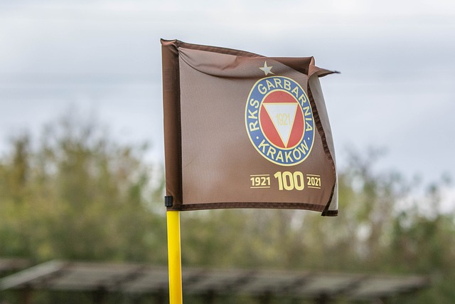 撞究竟会花 撞究竟会花